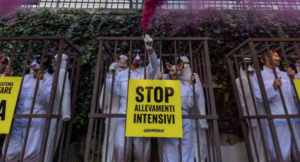 Pianura Padana “avvelenata”: il report di Greenpeace accusa gli allevamenti intensivi