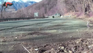 Ivrea, smantellato l’hub della droga sotto il ponte della SP419: tre arresti e maxisequestro