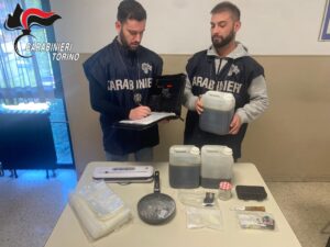 Blitz antidroga nel Canavese: sequestrati “white hashish” e 13 chili di olio di cannabis. Cinque arresti