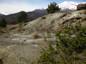 Geostorie metropolitane: rocce, fossili e ghiacciai diventano una leva per il turismo