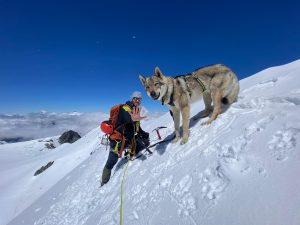“In montagna si trasforma e se ci fermiamo si lamenta”: la storia di Carlo e il suo Thor, il cane a 4000 metri che punta al Monte Bianco