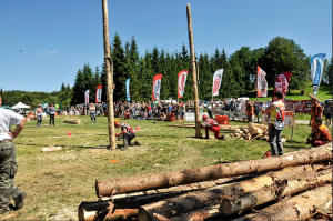 Motoseghe e accette in campo: a Mezzenile fa tappa il Campionato dei Boscaioli