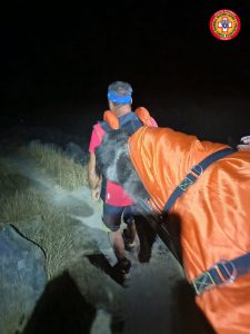 Balme, cane da 50 kg stremato sul sentiero: salvato dal Soccorso Alpino con sedazione e trasporto in barella