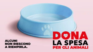 Un aiuto per cani e gatti abbandonati: sabato 11 luglio torna la raccolta alimentare Nova Coop