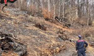 Estate da incubo per gli incendi in Piemonte: 20 denunciati e oltre 90mila euro di sanzioni<br>