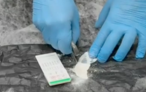 Maxi blitz antidroga dalla Sardegna alle Valli di Lanzo: 16 arresti, perquisizioni a Ceres e Torino