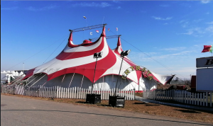 Inchieste animaliste, repliche e diritto di cronaca: la posizione del Circo Medini e de “Il Risveglio”