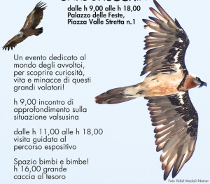 Alla scoperta dei giganti dei cieli: una giornata dedicata alla tutela degli avvoltoi