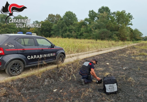 Piemonte in fiamme, l’estate nera dei boschi: roghi quasi quadruplicati, scattano 20 denunce e maxi multe